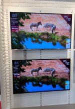 IMG_0158.jpeg