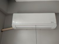 IMG_20240726_140420.jpg