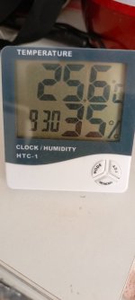IMG_20240801_093319_281.jpg