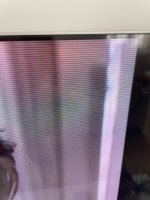 IMG_5437.jpeg