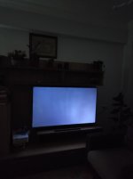 IMG-20230403-WA0008.jpg