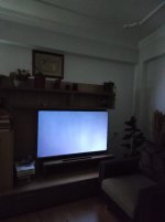 IMG-20230403-WA0009.jpg