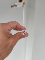 IMG20241012095907.jpg