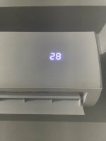 IMG_8222.jpeg
