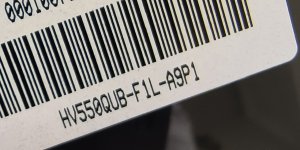 1730106294491.jpg