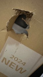 IMG_7600.jpeg