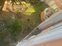IMG_2493.jpeg