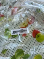 IMG_1774.webp