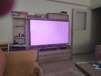 IMG_20230811_140818.jpg