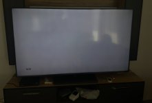 IMG_0524.jpeg