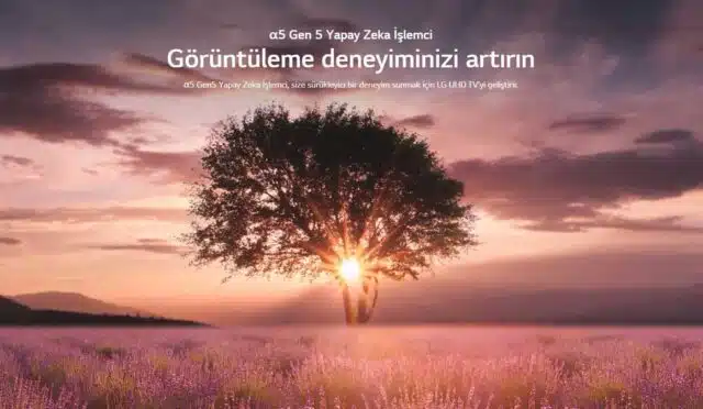 lguq81