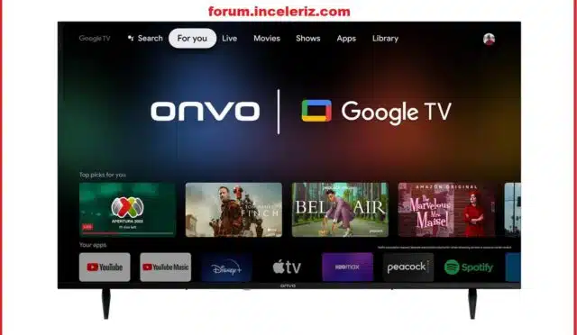 Evkur ONVO 50F950 Panel Bilgi