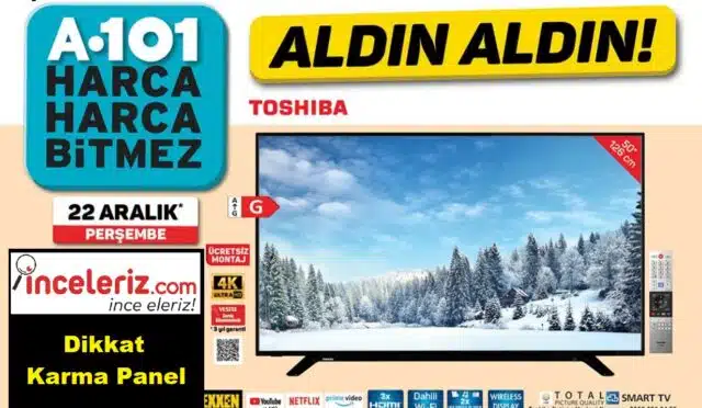 Toshiba Paneli Nedir