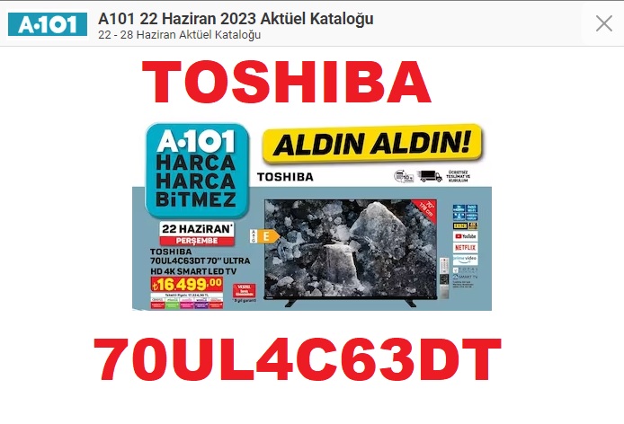 TOSHIBA 70UL4C63DT Panel Teknik Özellikler