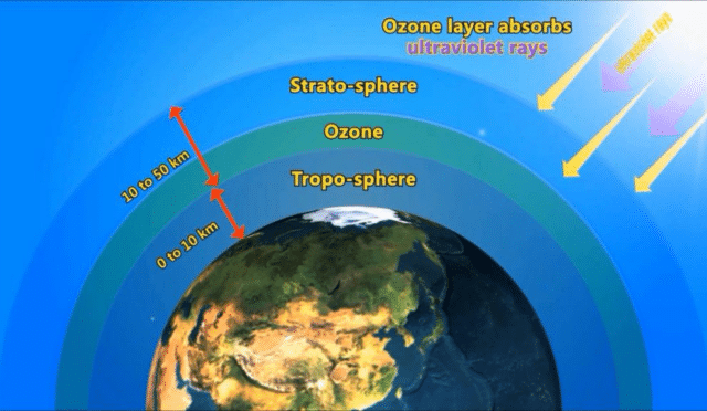 Ozon Nedir