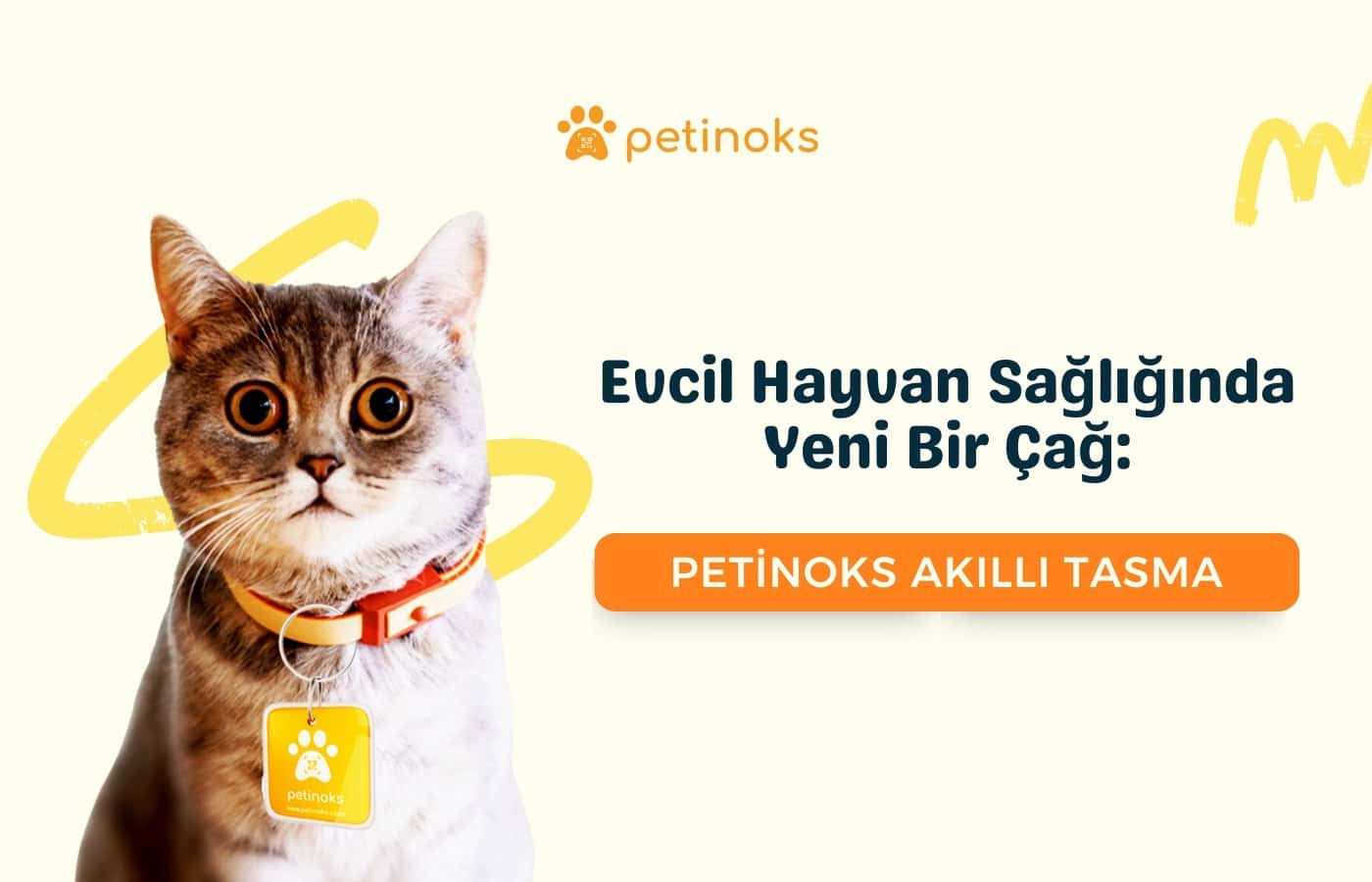 Evcil Hayvan Sağlığında Yeni Bir Çağ: Petinoks Akıllı Tasma!