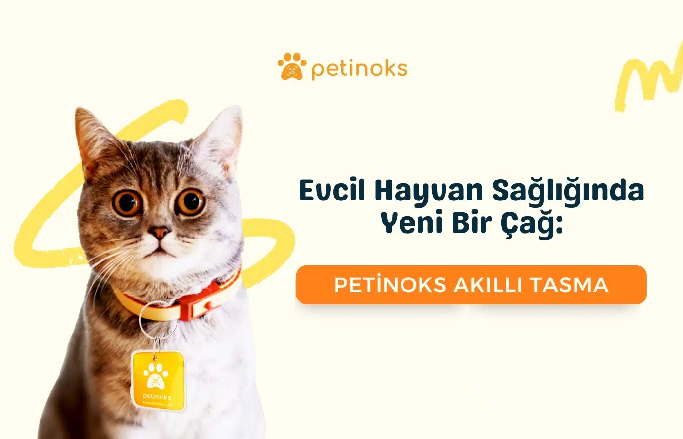Evcil Hayvan Sağlığında Yeni Bir Çağ: Petinoks Akıllı Tasma!