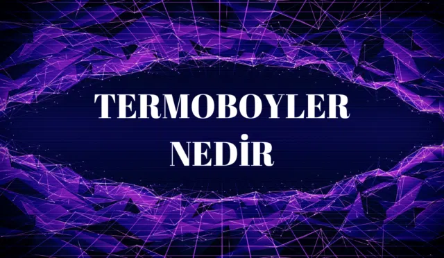 Termoboyler Nedir