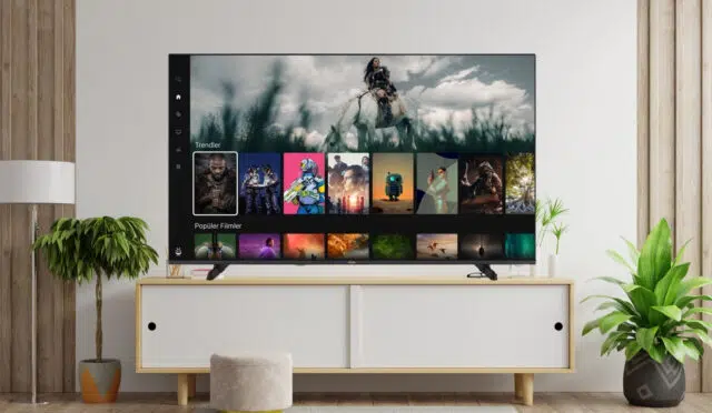 VESTEL 55UT9740 TiVo Smart Led TV