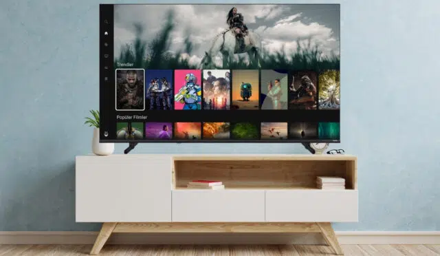 Vestel 55UT9840 TiVo